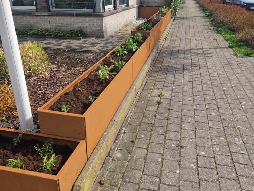 Kwalitatieve Cortenstaal Plantenbak
